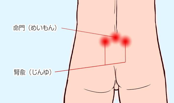 命門（めいもん）腎兪（じんゆ）