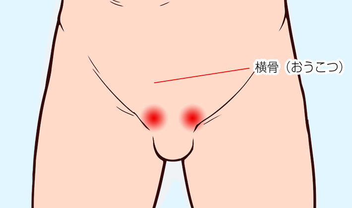 横骨（おうこつ）