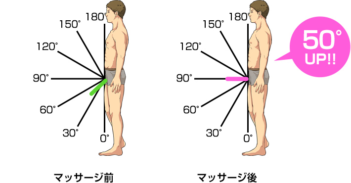 体験者の勃起力・角度の図