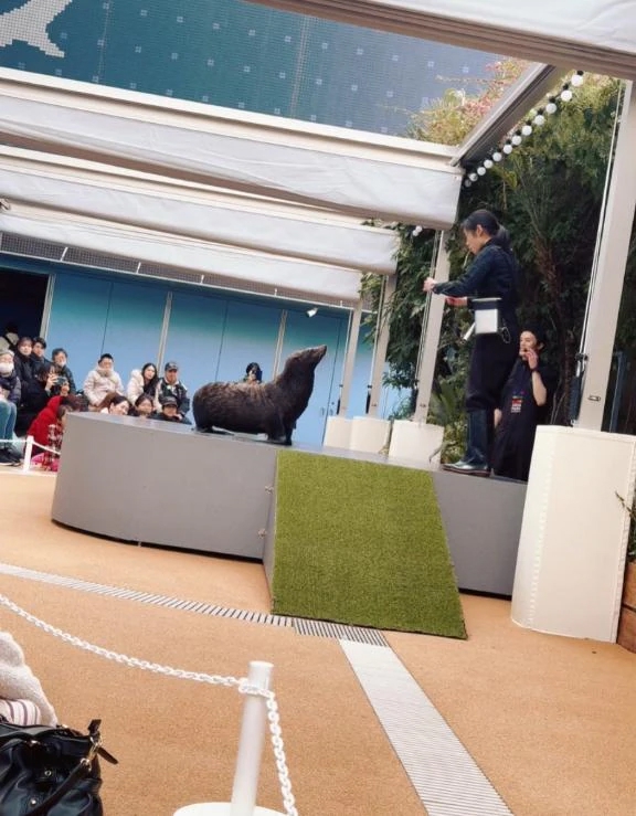 雪花（ゆきか）